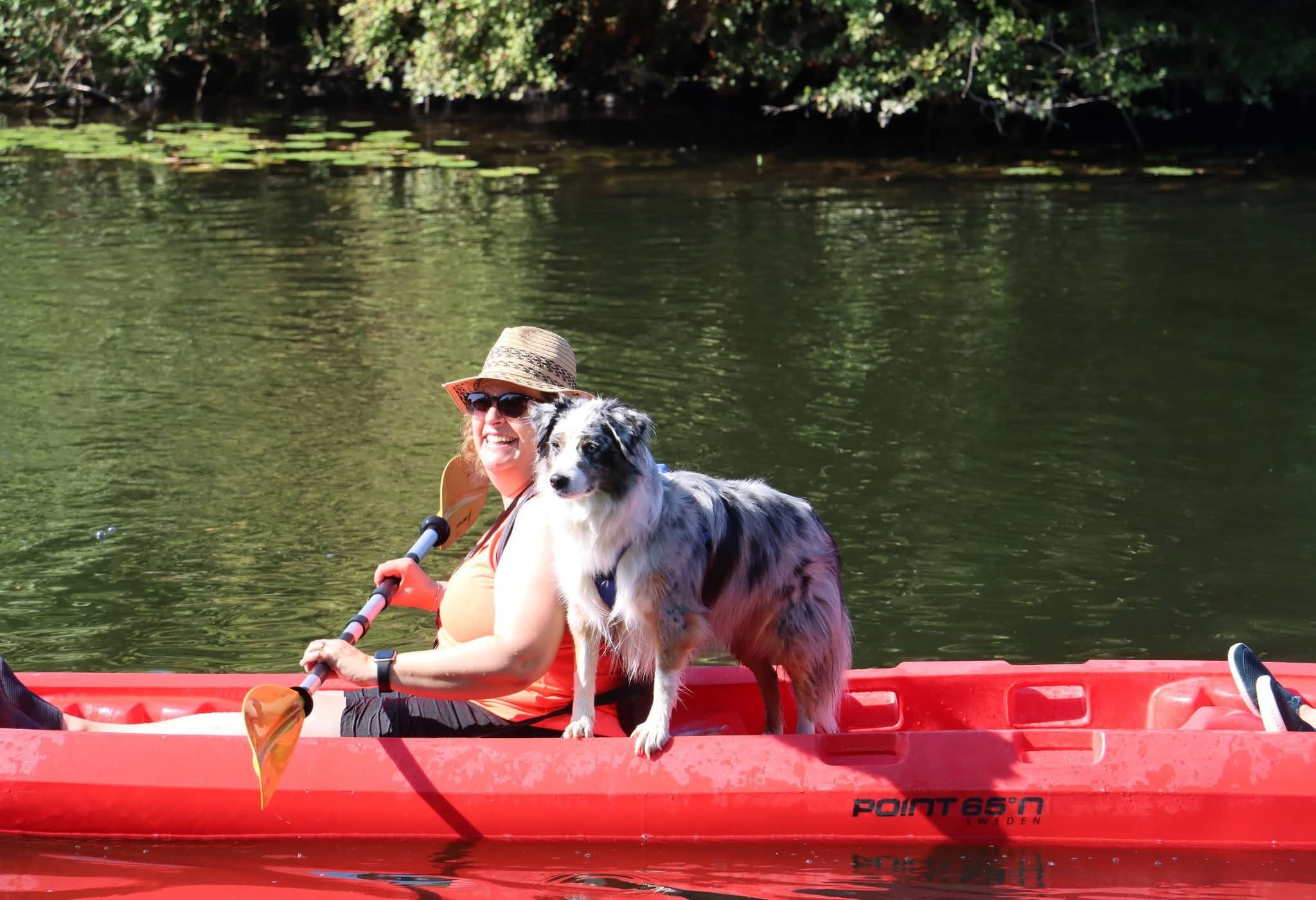 Un maître et son chien nagent ensemble