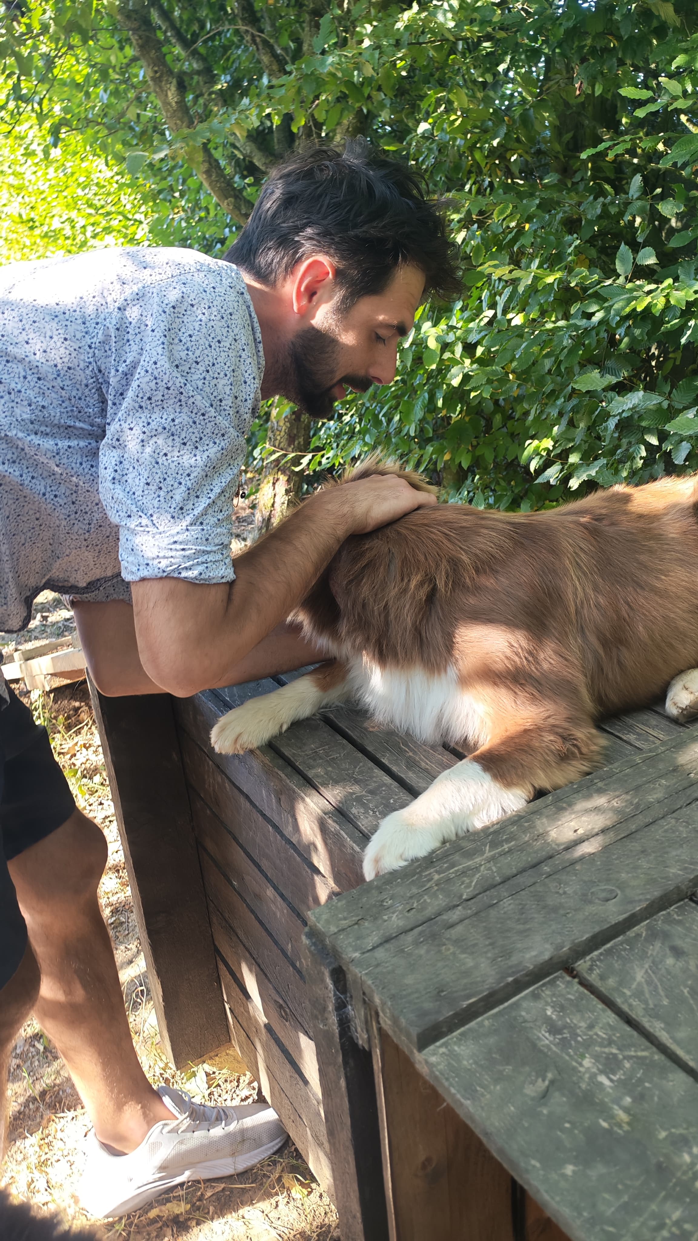 Raphaël Caron avec un bouvier bernois et un berger australien